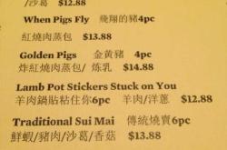 药盒翻译德语
