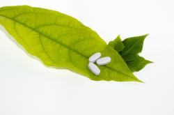 天津疫情新动态，新增28例无症状感染者，防疫措施再升级