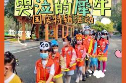 犀牛高级编程的特点：