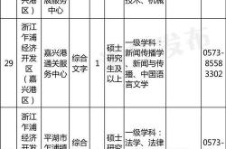 嘉兴人工翻译费用解析
