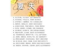 翻译句子“夏天”