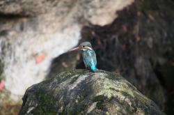 沈阳疫情新动态，一病例的营口之旅与我们的共同责任