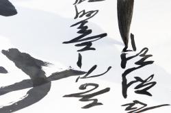 探索书法艺术的巅峰，权威书法家排名榜解析