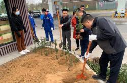 1.选择合适的植树地点