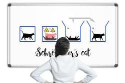 薛定谔的猫，量子世界的奇妙悖论