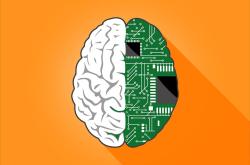 探索生活科普，日常生活中的科学知识与实践