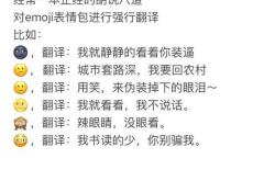 如何进行有效的口译翻译