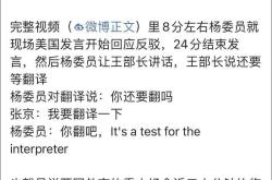 我把它还给你翻译