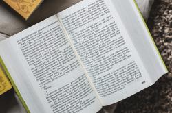 探索西藏文化，专升本文学常识知识大全