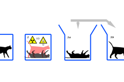 薛定谔的猫，量子世界的奇异悖论与哲学启示
