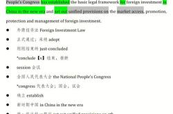 外贸社交翻译软件费用分析与建议
