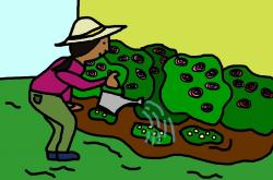 常识修改App，漫画爱好者的免费福音