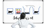 薛定谔的猫，量子世界中的悖论与启示