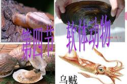 大学英语精读三翻译