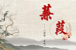 蒹葭翻译全文