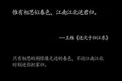 落花翻译英语版