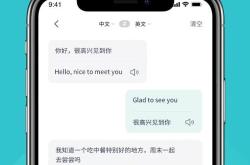 软件翻译工具