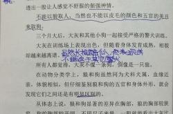 狼蒲松龄翻译100字