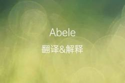 英语转换中文在线翻译