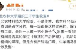 产量增加英语