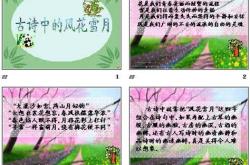 风花雪月诗句翻译英文怎么写