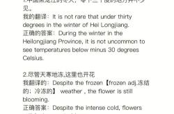 冰河世纪英语翻译