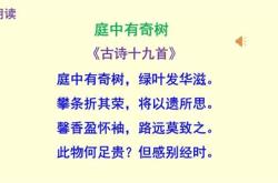 庭中有奇树翻译简短