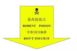 正义的伙伴日剧免费观看