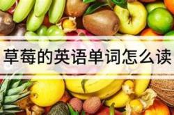 草莓翻译成英语怎么写