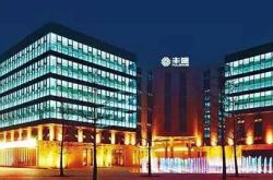 南京丰盛集团股票