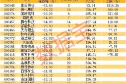 新能源汽车股票龙头股有哪些002334