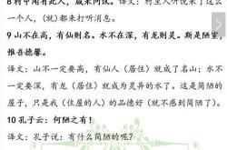 悬牛首卖马肉的文言文翻译30字