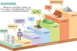 新能源汽车技术和汽车制造与装配技术