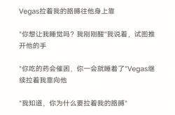 翻译小说的软件