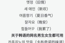 韩文名字翻译器网站