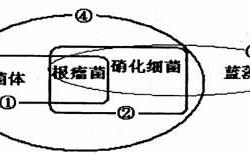 土壤浓度名词解释