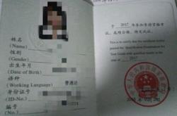 英语综合能力训练实践总结