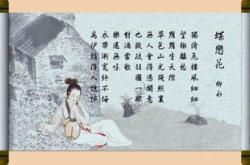 释疾文什么意思