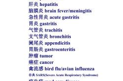 种类翻译成英文
