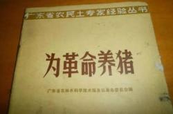 万里长征的翻译