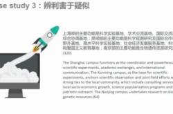 翻译策略是什么