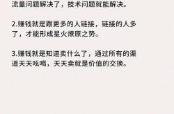 为翻译辩护