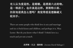 玫瑰深处的爱恋小说