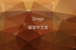 翻译rat