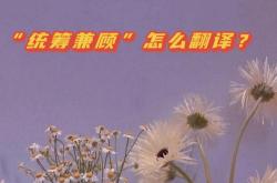 一片英文翻译