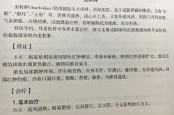 医师原文