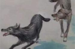 狼的翻译和原文蒲松龄其一