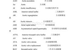 心脏英文发音