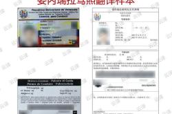 翻译驾照在德国能用吗