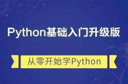 怎样学编程软件